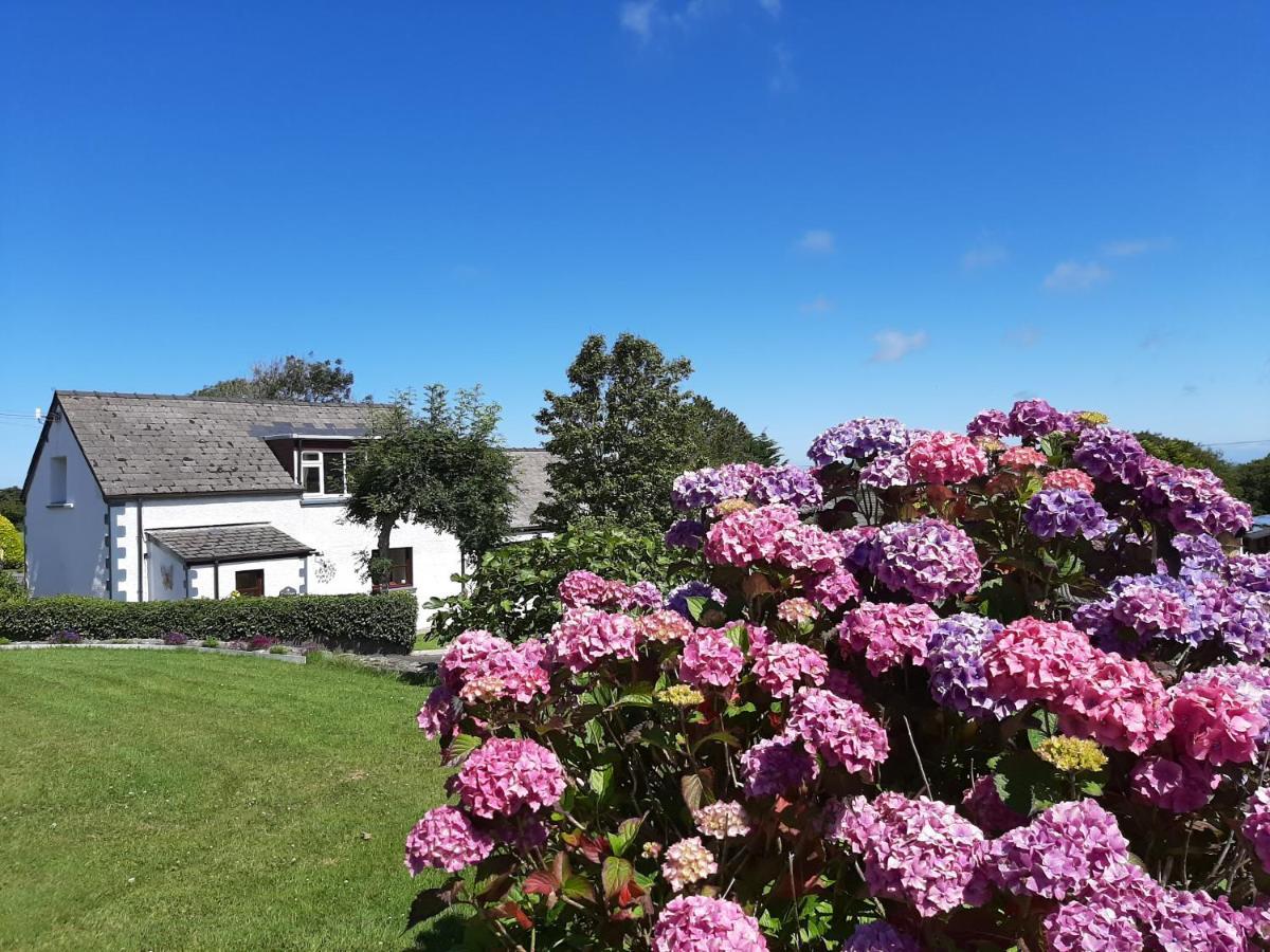 קרדיגן Trenewydd Farm Holiday Cottages מראה חיצוני תמונה