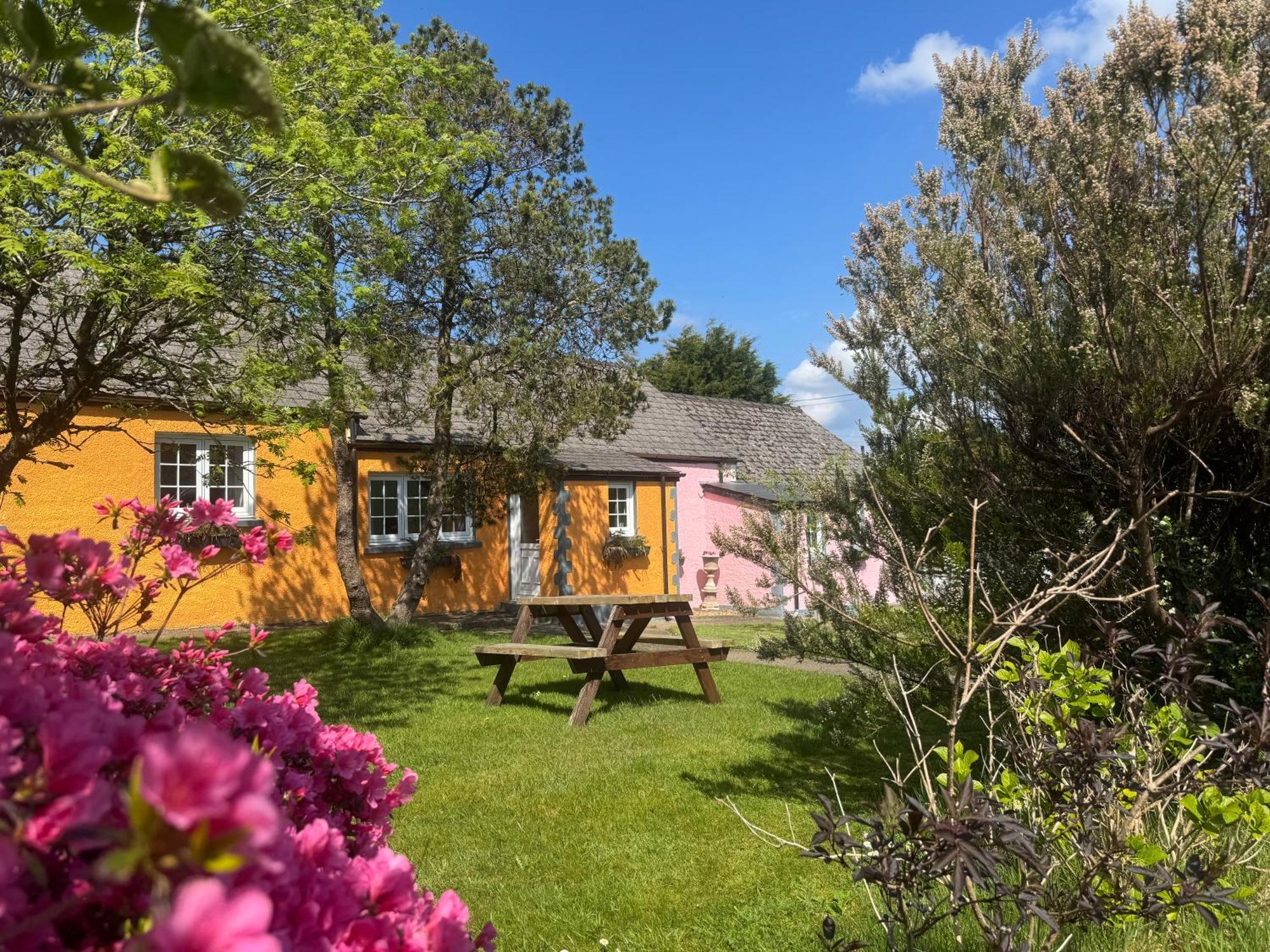 קרדיגן Trenewydd Farm Holiday Cottages מראה חיצוני תמונה
